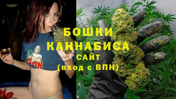 дживик Гусь-Хрустальный
