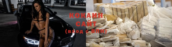 стафф Алзамай