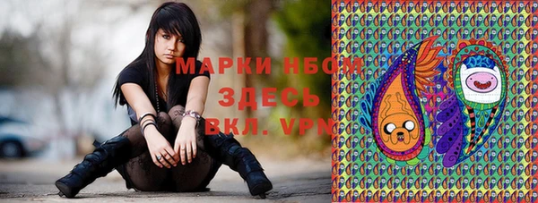 стафф Алзамай