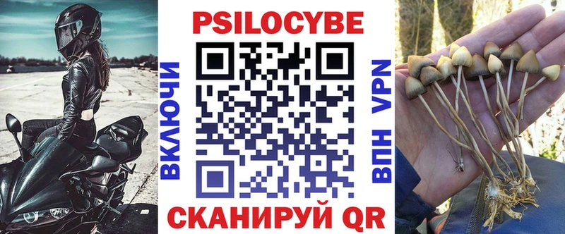 дарнет шоп  Нововоронеж  Псилоцибиновые грибы ЛСД 